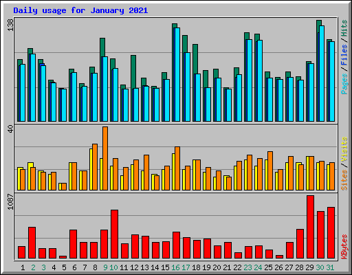 Daily usage for January 2021