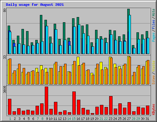 Daily usage for August 2021