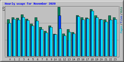 Hourly usage for November 2020