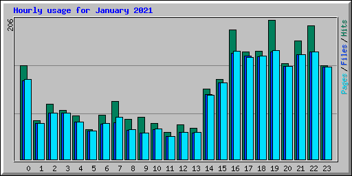 Hourly usage for January 2021