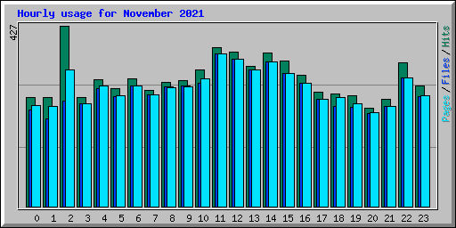 Hourly usage for November 2021